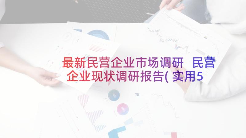 最新民营企业市场调研 民营企业现状调研报告(实用5篇)