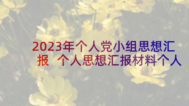 2023年个人党小组思想汇报 个人思想汇报材料个人思想汇报(大全10篇)