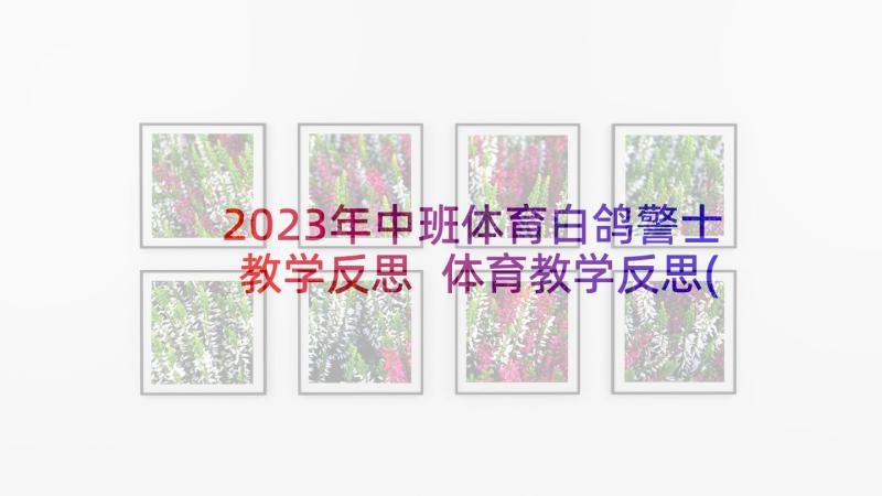 2023年中班体育白鸽警士教学反思 体育教学反思(大全10篇)