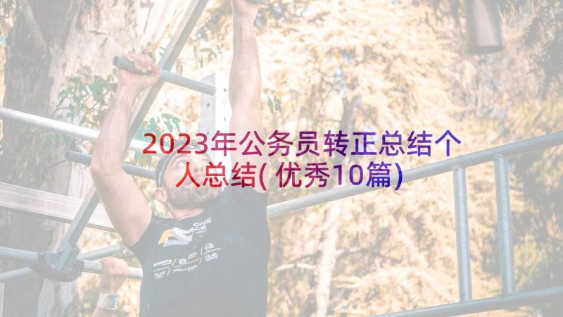 2023年公务员转正总结个人总结(优秀10篇)