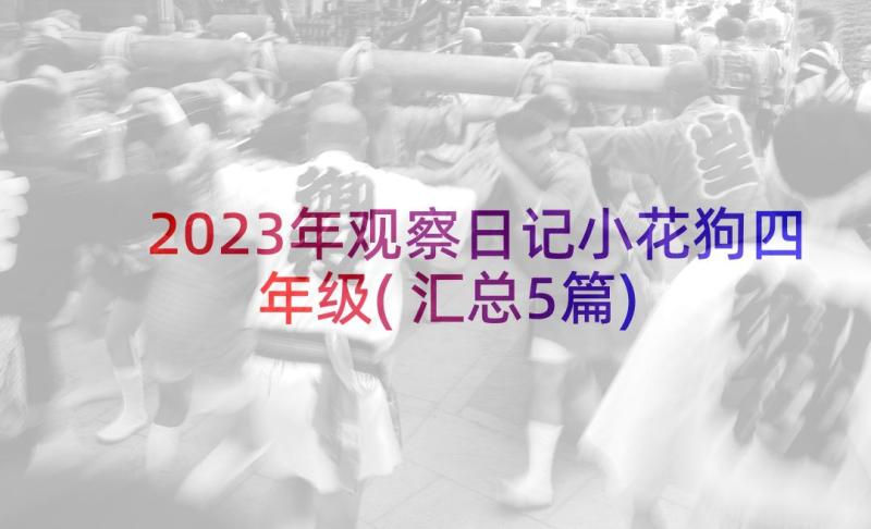 2023年观察日记小花狗四年级(汇总5篇)