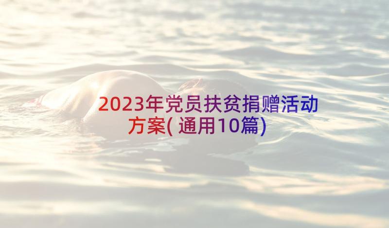 2023年党员扶贫捐赠活动方案(通用10篇)