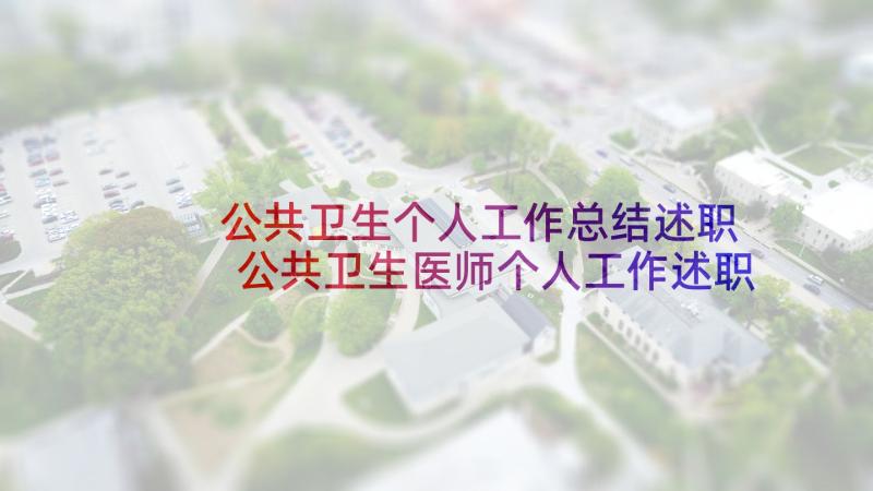 公共卫生个人工作总结述职 公共卫生医师个人工作述职报告(精选5篇)