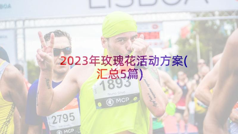 2023年玫瑰花活动方案(汇总5篇)