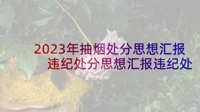 2023年抽烟处分思想汇报 违纪处分思想汇报违纪处分思想汇报(模板7篇)