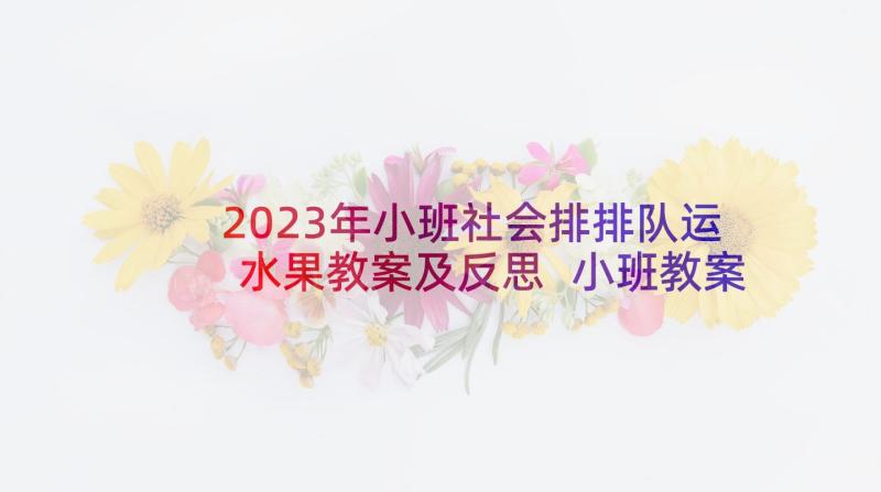 2023年小班社会排排队运水果教案及反思 小班教案及教学反思水果接龙(大全5篇)