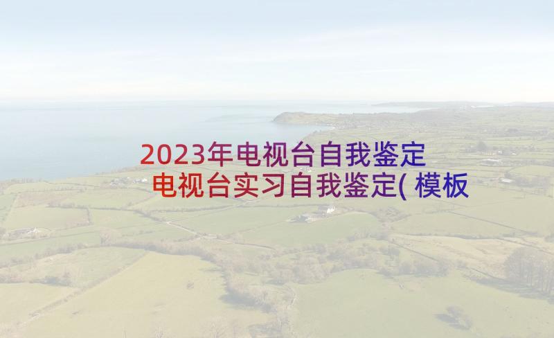 2023年电视台自我鉴定 电视台实习自我鉴定(模板8篇)