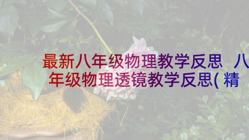 最新八年级物理教学反思 八年级物理透镜教学反思(精选8篇)