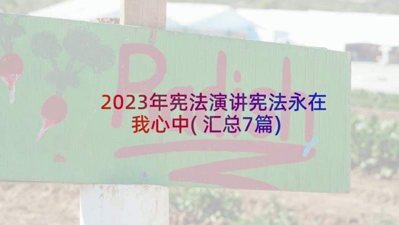 2023年宪法演讲宪法永在我心中(汇总7篇)