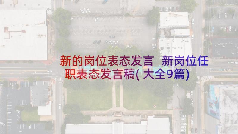 新的岗位表态发言 新岗位任职表态发言稿(大全9篇)