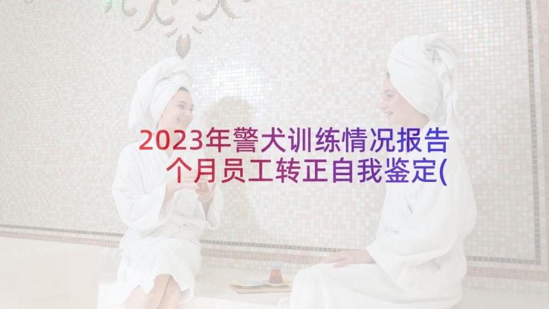 2023年警犬训练情况报告 个月员工转正自我鉴定(通用8篇)