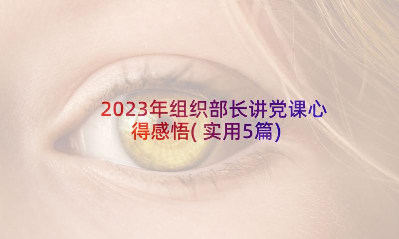 2023年组织部长讲党课心得感悟(实用5篇)