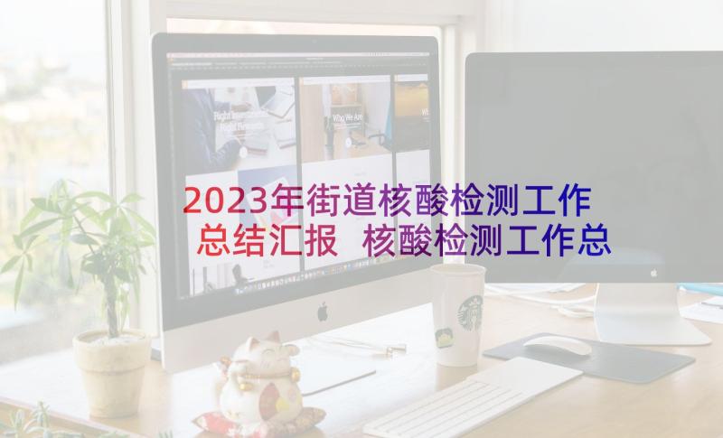 2023年街道核酸检测工作总结汇报 核酸检测工作总结(大全6篇)