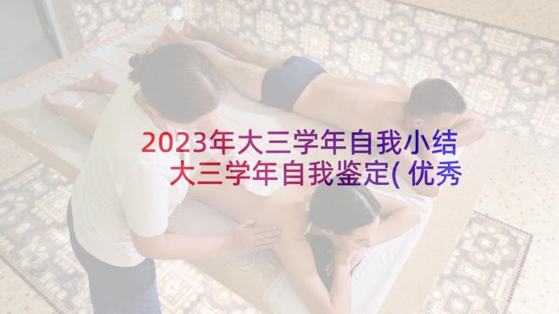 2023年大三学年自我小结 大三学年自我鉴定(优秀9篇)