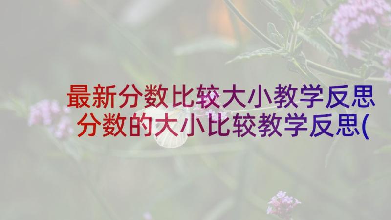 最新分数比较大小教学反思 分数的大小比较教学反思(汇总5篇)