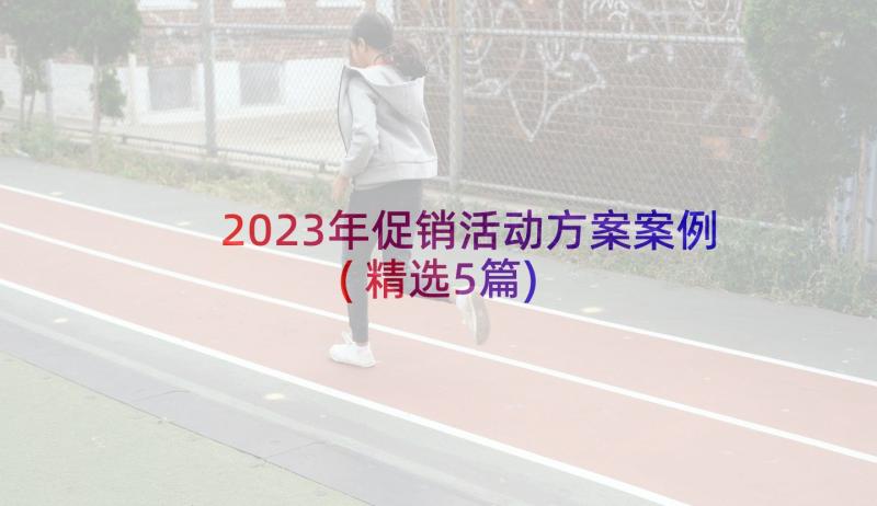 2023年促销活动方案案例(精选5篇)