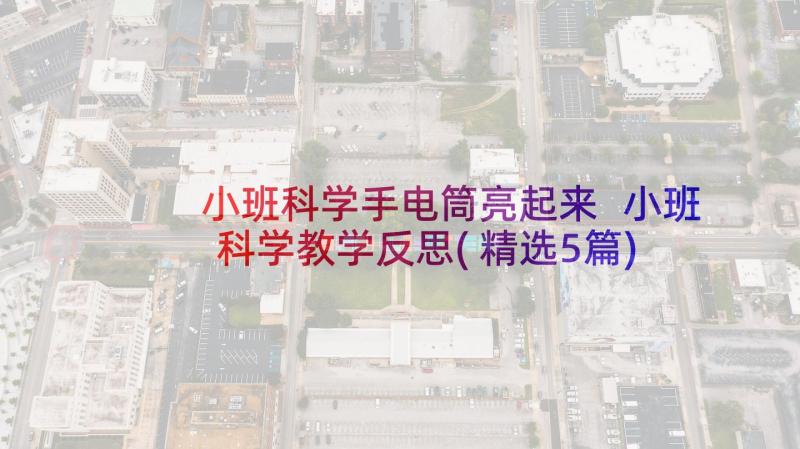 小班科学手电筒亮起来 小班科学教学反思(精选5篇)