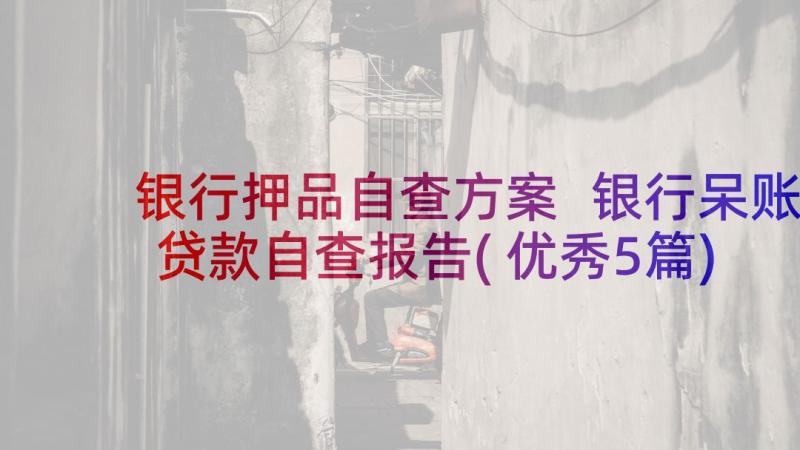 银行押品自查方案 银行呆账贷款自查报告(优秀5篇)