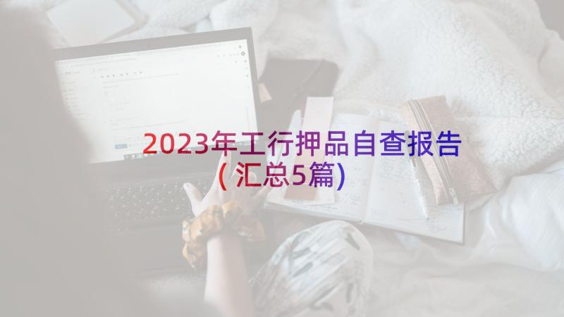 2023年工行押品自查报告(汇总5篇)