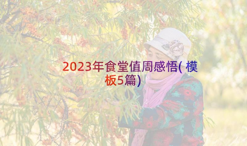 2023年食堂值周感悟(模板5篇)