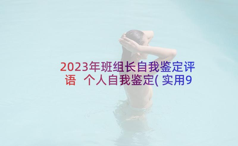 2023年班组长自我鉴定评语 个人自我鉴定(实用9篇)