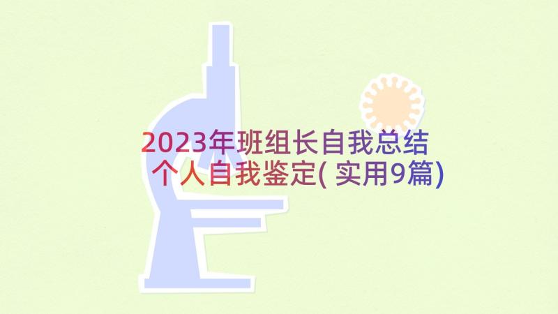 2023年班组长自我总结 个人自我鉴定(实用9篇)