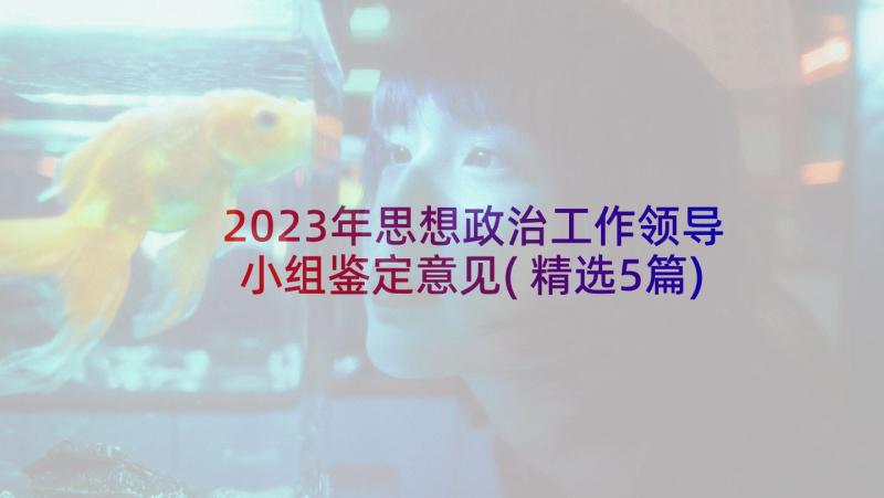 2023年思想政治工作领导小组鉴定意见(精选5篇)