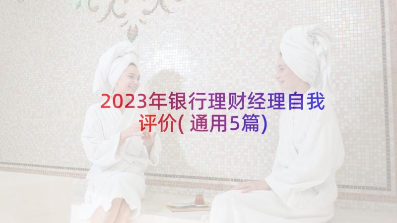 2023年银行理财经理自我评价(通用5篇)