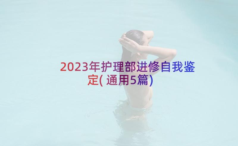 2023年护理部进修自我鉴定(通用5篇)