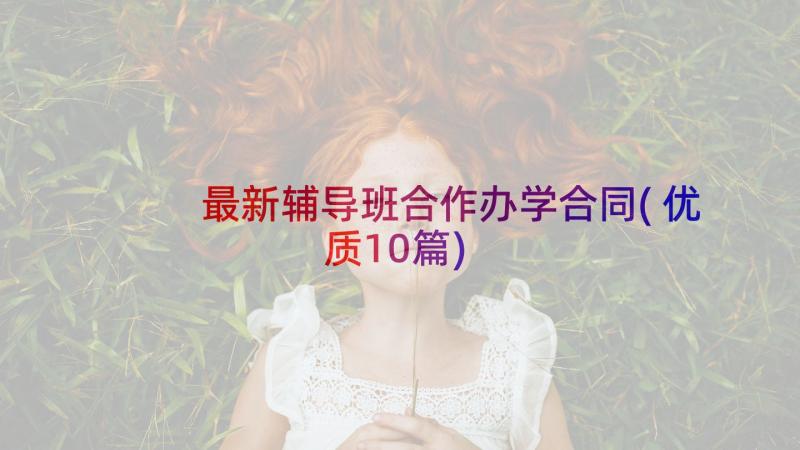 最新辅导班合作办学合同(优质10篇)