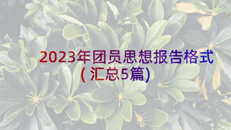 2023年团员思想报告格式(汇总5篇)