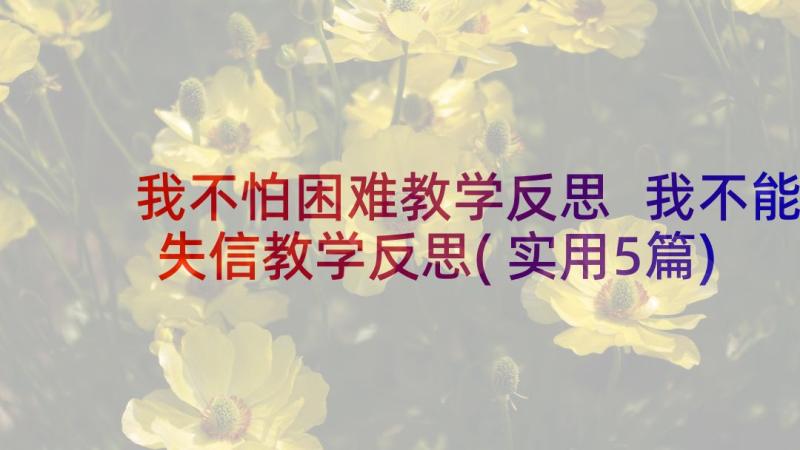 我不怕困难教学反思 我不能失信教学反思(实用5篇)