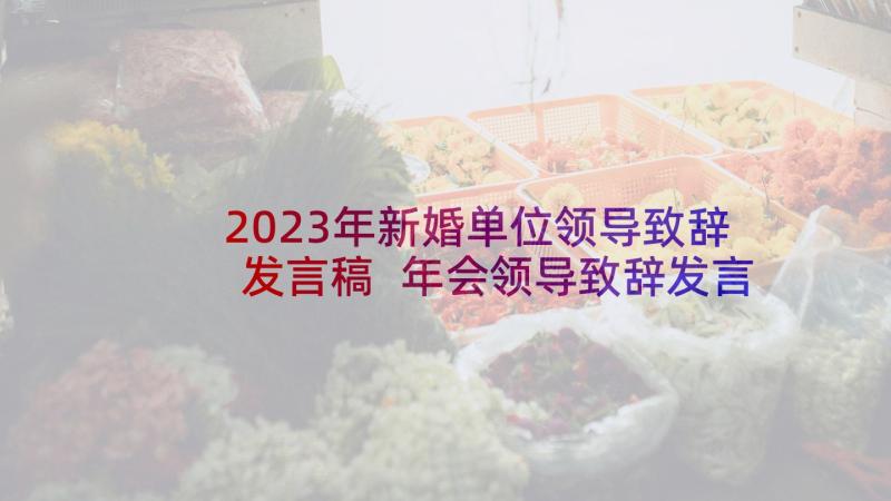 2023年新婚单位领导致辞发言稿 年会领导致辞发言稿(大全5篇)