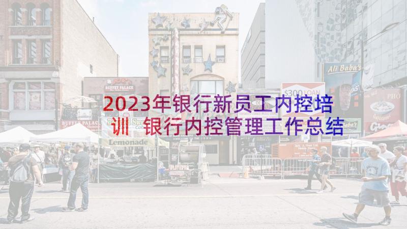 2023年银行新员工内控培训 银行内控管理工作总结(优秀6篇)