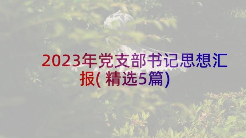 2023年党支部书记思想汇报(精选5篇)