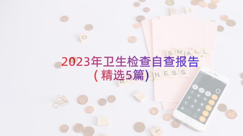 2023年卫生检查自查报告(精选5篇)