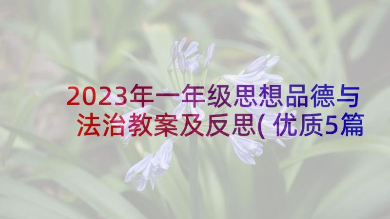 2023年一年级思想品德与法治教案及反思(优质5篇)