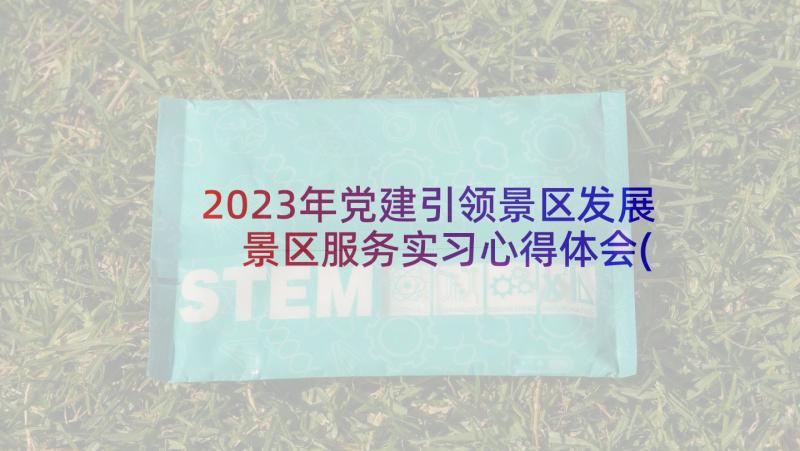 2023年党建引领景区发展 景区服务实习心得体会(精选9篇)