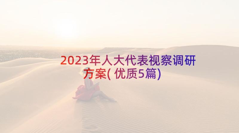 2023年人大代表视察调研方案(优质5篇)