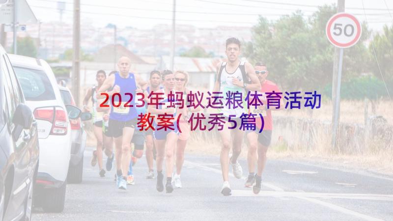 2023年蚂蚁运粮体育活动教案(优秀5篇)