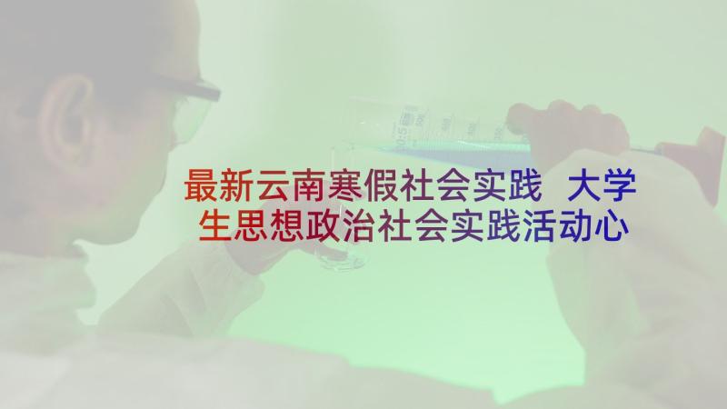 最新云南寒假社会实践 大学生思想政治社会实践活动心得体会(实用5篇)