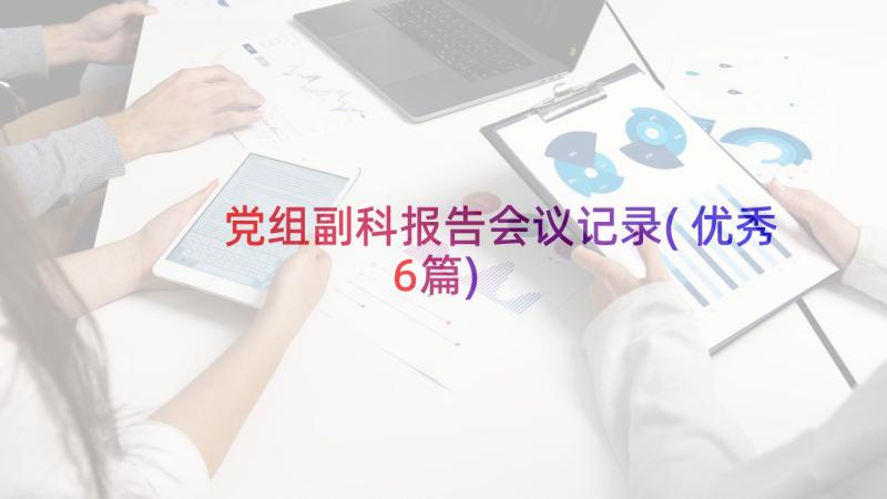 党组副科报告会议记录(优秀6篇)