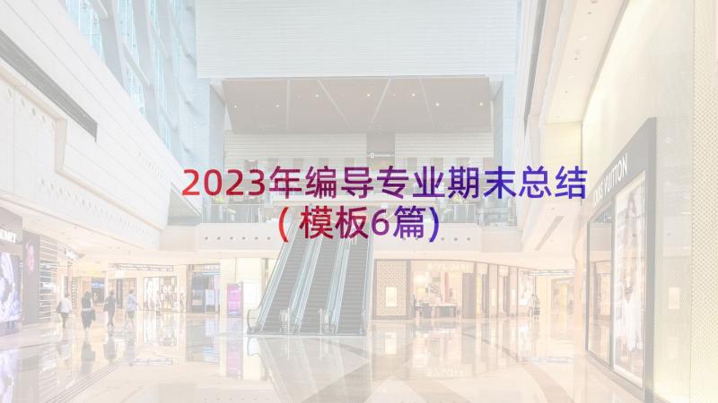 2023年编导专业期末总结(模板6篇)