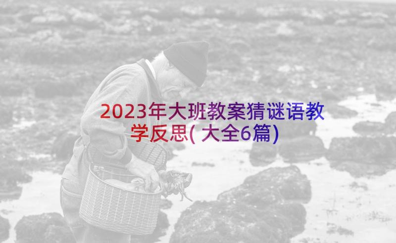 2023年大班教案猜谜语教学反思(大全6篇)