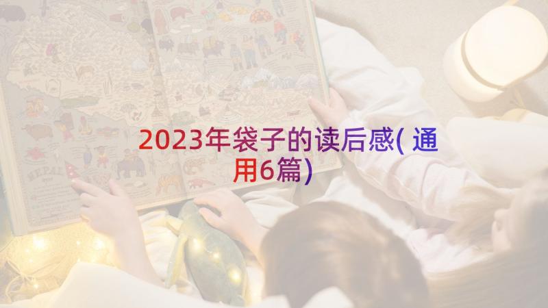 2023年袋子的读后感(通用6篇)