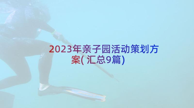 2023年亲子园活动策划方案(汇总9篇)