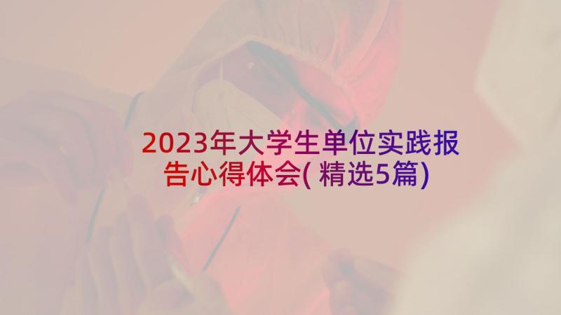 2023年大学生单位实践报告心得体会(精选5篇)