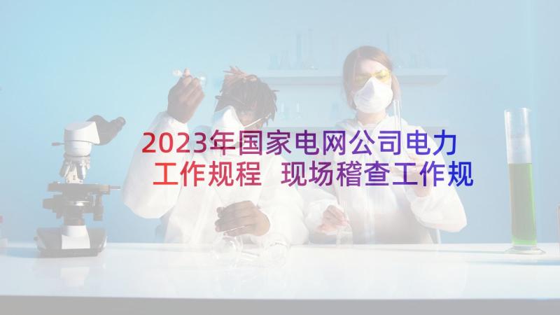 2023年国家电网公司电力工作规程 现场稽查工作规程心得体会(通用6篇)