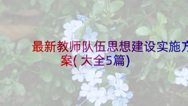 最新教师队伍思想建设实施方案(大全5篇)