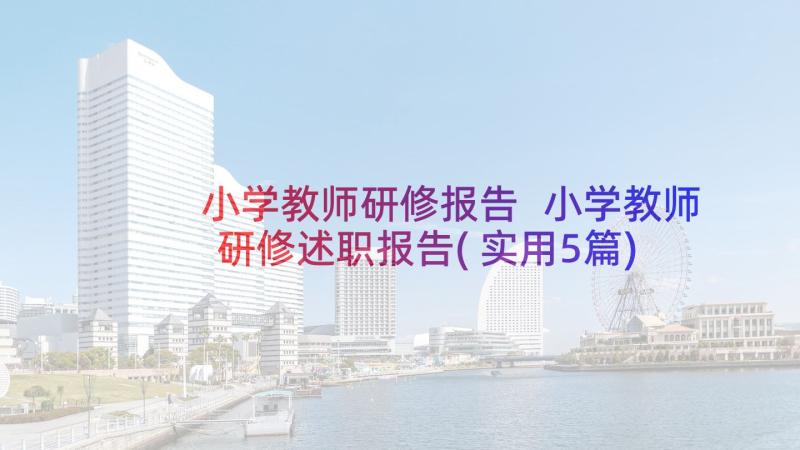 小学教师研修报告 小学教师研修述职报告(实用5篇)